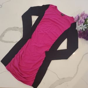 Express Sweater Dress